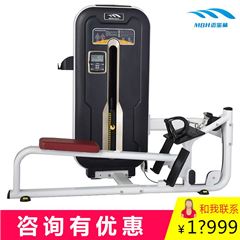 邁寶赫MZM-012A高端商(shāng)用(yòng)健身房專業低拉訓練器